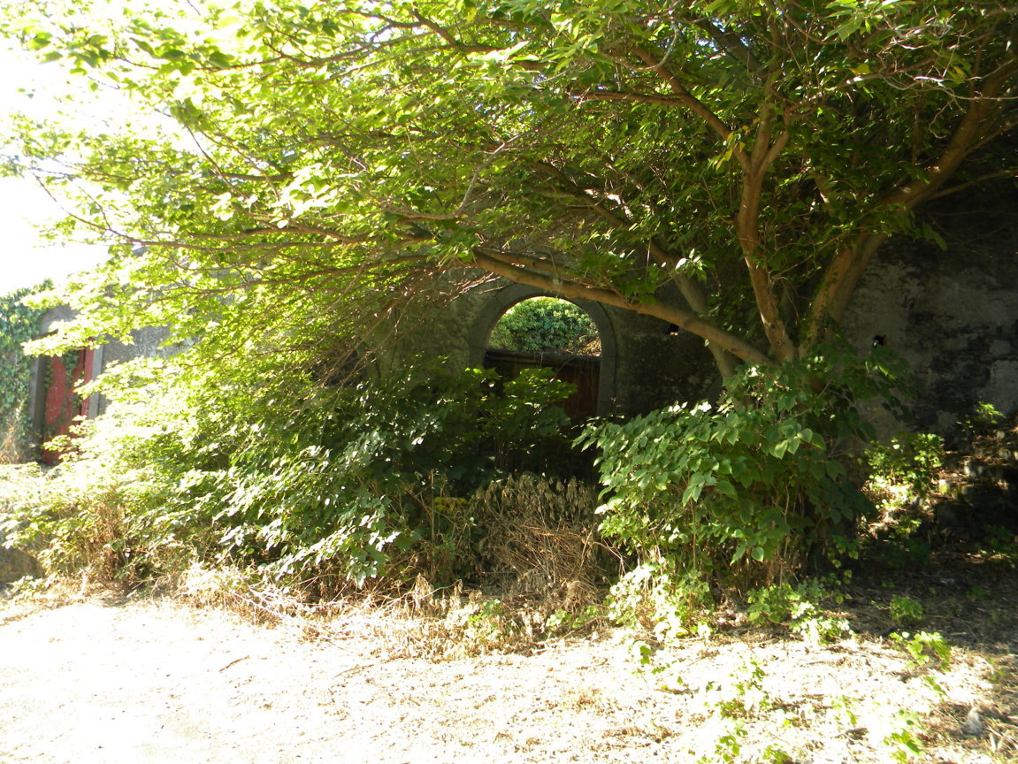 DSCN8048 .JPG